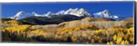 Framed USA, Colorado, Rocky Mountains, aspens, autumn