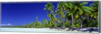 Framed Beach With Palm Trees, Bora Bora, Tahiti