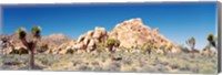 Framed Rock Formation In A Arid Landscape, Joshua Tree National Monument, California, USA