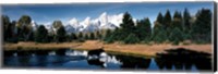 Framed Moose & Beaver Pond Grand Teton National Park WY USA