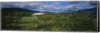 Framed Hotel in the forest, Mount Washington Hotel, Bretton Woods, New Hampshire, USA