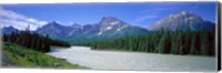 Framed Rocky Mountains Near Jasper, Alberta Canada