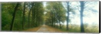 Framed Road With Fog, France