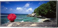 Framed Indian Ocean Moyenne Island Seychelles