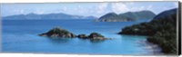 Framed US Virgin Islands, St. John, Trunk Bay, Tourists on vacations