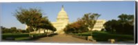 Framed Capitol Building, Washington DC, District Of Columbia, USA