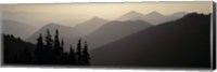Framed Mount Rainier National Park WA USA