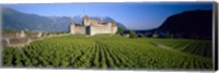 Framed Vineyard in front of a castle, Aigle Castle, Musee de la Vigne et du Vin, Aigle, Vaud, Switzerland