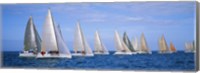 Framed Yachts in the ocean, Key West, Florida, USA