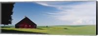 Framed Barn in a wheat field, Washington State (horizontal)