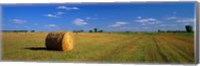 Framed Hay Bales, South Dakota, USA