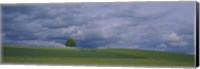 Framed Storm clouds over a field, Zurich Canton, Switzerland