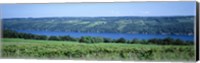 Framed Vineyard with a lake in the background, Keuka Lake, Finger Lakes, New York State, USA