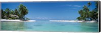 Framed Palm trees on the beach, Tikehau, French Polynesia