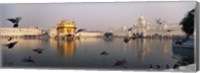 Framed Reflection of a temple in a lake, Golden Temple, Amritsar, Punjab, India