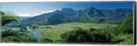 Framed High angle view of taro fields, Hanalei Valley, Kauai, Hawaii, USA