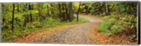 Framed Road passing through a forest, Country Road, Peacham, Caledonia County, Vermont, USA