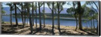 Framed dam on a farm in Hermon, South Africa