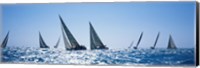 Framed Sailboats racing in the sea, Farr 40's race during Key West Race Week, Key West Florida, 2000