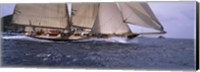 Framed Sailboat in the sea, Schooner, Antigua, Antigua and Barbuda