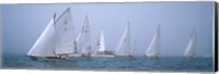 Framed Yachts racing in the ocean, Annual Museum Of Yachting Classic Yacht Regatta, Newport, Newport County, Rhode Island, USA