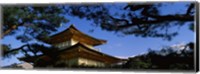 Framed Low angle view of trees in front of a temple, Kinkaku-ji Temple, Kyoto City, Kyoto Prefecture, Kinki Region, Honshu, Japan