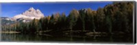 Framed Trees at the lakeside, Lake Misurina, Tre Cime Di Lavaredo, Dolomites, Cadore, Province of Belluno, Veneto, Italy