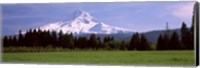 Framed Field with a snowcapped mountain in the background, Mt Hood, Oregon (horizontal)