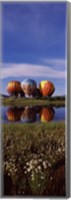 Framed Hot Air Balloon Rodeo, Steamboat Springs, Colorado (vertical)