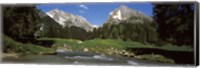 Framed Stream flowing through a forest, Mt Santis, Mt Altmann, Appenzell Alps, St Gallen Canton, Switzerland