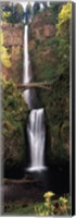 Framed Waterfall in a forest, Multnomah Falls, Columbia River Gorge, Multnomah County, Oregon, USA