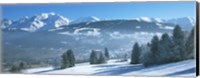 Framed Trees with snow covered mountains in winter, Combloux, Mont Blanc Massif, Haute-Savoie, Rhone-Alpes, France