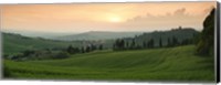 Framed Trees on a hill, Monticchiello Di Pienza, Val d'Orcia, Siena Province, Tuscany, Italy