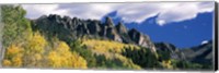 Framed Forest on a mountain, Jackson Guard Station, Ridgway, Colorado, USA