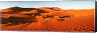 Framed Desert at sunrise, Sahara Desert, Morocco