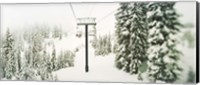 Framed Chair lift and snowy evergreen trees at Stevens Pass, Washington State, USA