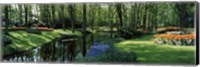Framed Flower beds and trees in Keukenhof Gardens, Lisse, Netherlands