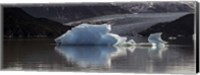 Framed Iceberg in a lake, Gray Glacier, Torres del Paine National Park, Magallanes Region, Patagonia, Chile, Lake