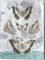 Framed Butterflies & Filigree II