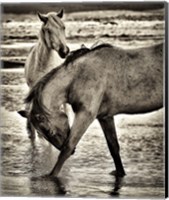 Framed Beach Horses I