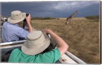 Framed Rear view of two safari photographers filming a giraffe