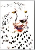 Framed Close-up of a Cheetah