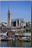 Framed Immigrant Embarkation Harbour, Terraced Houses and St Colman's Cathedral, Cobh, County Cork, Ireland (vertical)