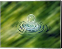 Framed Clear bubble rising from ripples in mottled green water