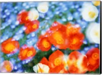 Framed Kaleidoscopic flowers in blues, orange and white