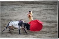 Framed Matador and a bull in a bullring, Lima, Peru