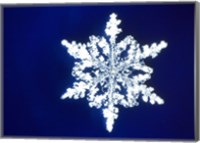 Framed Snowflake 1