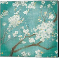 Framed White Cherry Blossoms I on Blue Aged No Bird