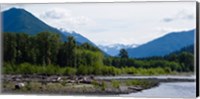 Framed Trees in front of mountains in Quinault Rainforest, Olympic National Park, Washington State, USA