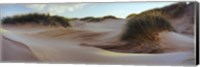Framed Sculpted dunes at the Sands of Forvie, Newburgh, Aberdeenshire, Scotland